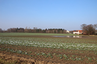 Westrand von Hannover, Blick zum Heisterberg