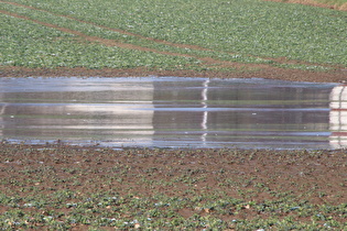 Zoom auf die Eisfläche auf dem Acker