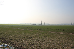 Südrand von Northen, Blick Richtung Deister …
