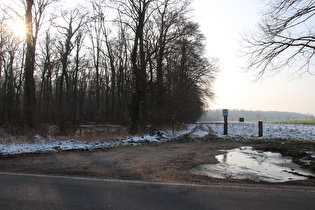 Winter im Großen Holz