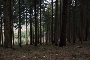 weiter oben, Blick bergab