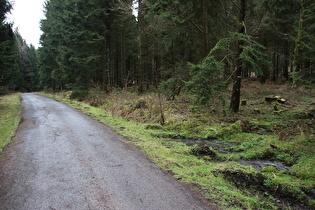 weiter oben weitere Winterreste