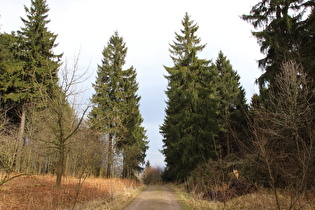 Hohe Warte, Blick nach Nordosten