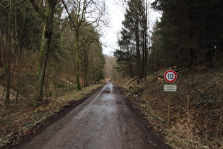 auch 'ne Lösung, aber frischer Asphalt wäre schon besser