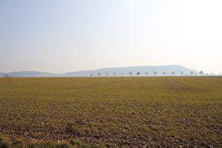 zwischen Stadtoldendorf und Deensen, Blick auf den Holzberg …