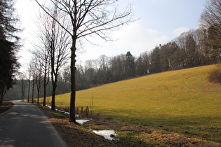 Tal zwischen Schießhaus und Schorborn, unterer Bereich