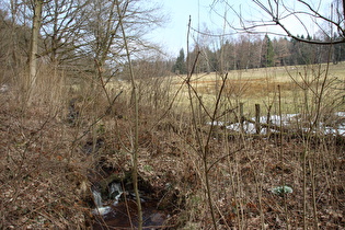 der Hasselbach in Schießhaus, Blick flussaufwärts …