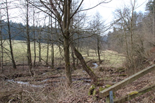 … und Blick flussabwärts ins Schießhäuser Tal