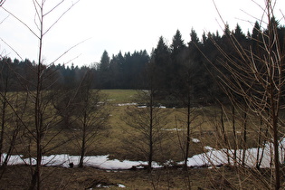 Winterreste im Schießhäuser Tal