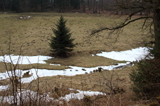 weiter unten immer noch Winterreste