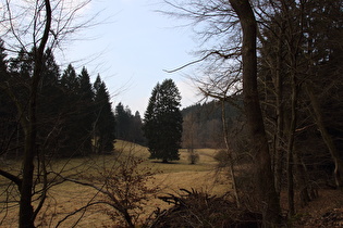 endlich kein Schnee mehr, Blick talabwärts …