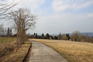 Blick vom Schneckenberg zum Köterberg