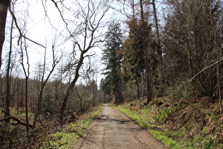 Auffahrt zum Kammweg, weit unten, Blick bergauf