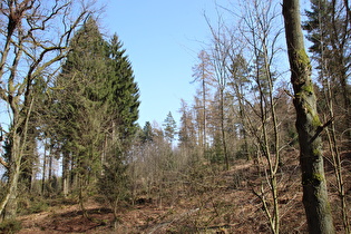 Blick nach Südosten