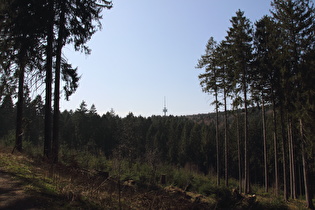 Blick zum Fernmeldeturm auf dem Großen Hals