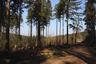 weiter oben, Blick nach Nordosten