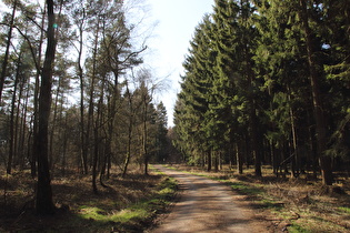 oberes Ende der Auffahrt von Barsinghausen zum Kammweg