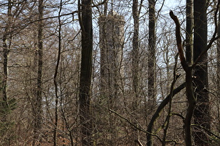 Zoom auf den Nordmannsturm