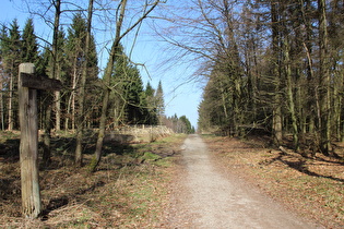 auf dem Reinekensiekskopf, Blick nach Nordosten