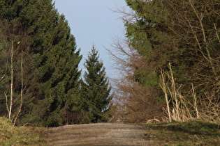 Zoom in die Norddeutsche Tiefebene