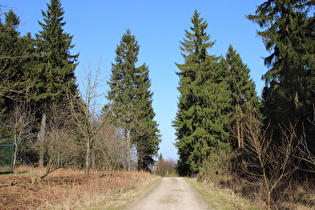 Hohe Warte, Blick nach Nordosten