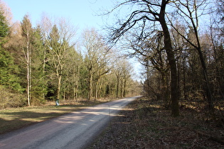 Kammweg, Blick zum Bröhn