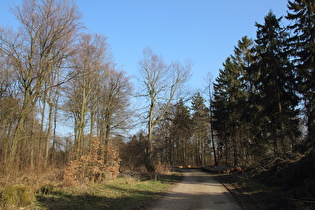 Kammweg auf dem Bröhn, Blick nach Südosten