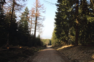 etwas weiter bergab, Blick nach Nordosten