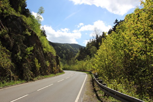 Okertal zwischen Oker und Romkerhalle, Blick nach Süden