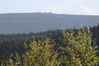 Zoom auf die Wolfswarte