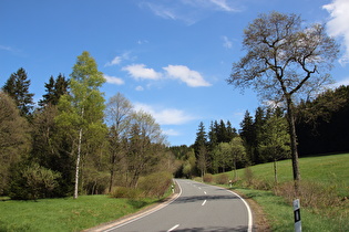 L504 zwischen Altenau und Torfhaus