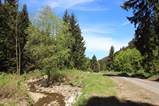 die Abzucht, Blick flussabwärts