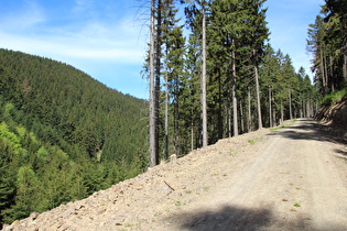 Kunsteinweg oberhalb des Abzuchttals, Blick nach Norden