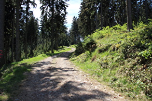 Kunsteinweg, Abschnitt mit schlechtem Belag