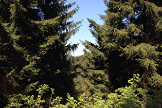 weiter oben