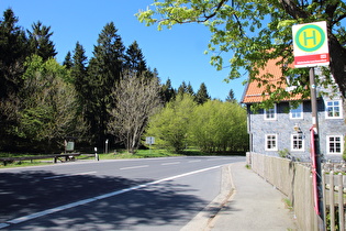 Auerhahn, Blick nach Nordwesten