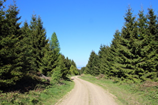 Alte Harzstraße zwischen Windsattel und Goslar, Blick nach Norden