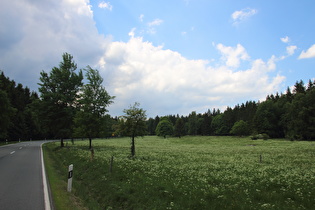 Blick zum Schierker Stern