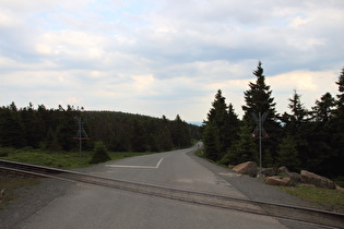 Blick von oben auf das Brockenbett