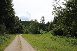 Schildautal, Blick talaufwärts …