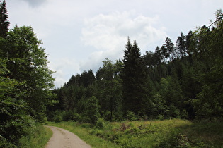 Bärental, Blick talaufwärts