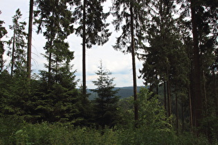 Blick vom Kammweg zum Brocken