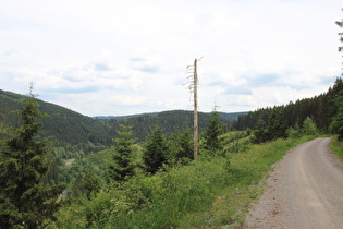 Abfahrt nach Wildemann, Blick ins Innerstetal talaufwärts …