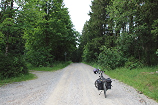 zweiter Sattelpunkt: Wildemanner Straße südlich von Bockswiese