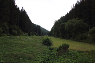 die Salvey, Blick flussaufwärts …