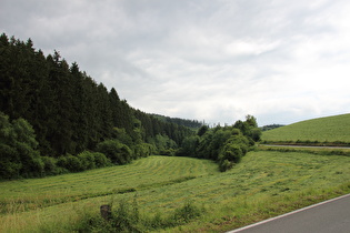 weiter oben im Salveytal, Blick talaufwärts