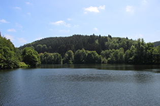 Blick vom Staudamm auf das Oberwasser