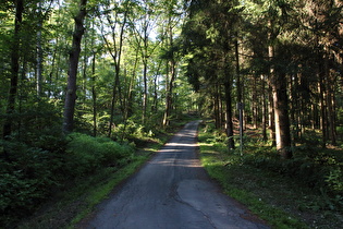 die letzte steile Rampe bergauf der Etappe bei Herzhausen, Blick bergauf …