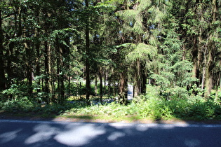 oberhalb der obersten Kehre, Blick zur sechsten Kehre