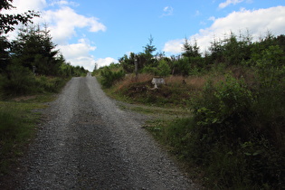 Radweg? Schiebestrecke!